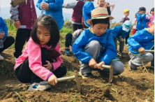研學旅行方案設計