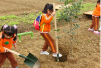 研學旅行方案設計